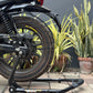 Xplore Premium Venom Edition Dismantle Paddock Stand